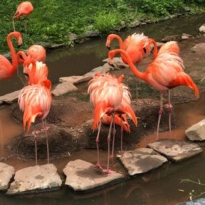 Meet your Posher, Sharonna